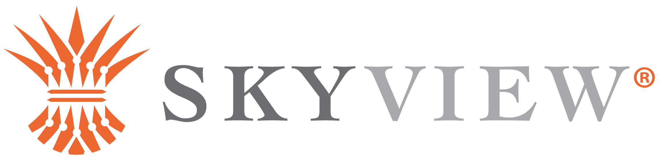 SkyView